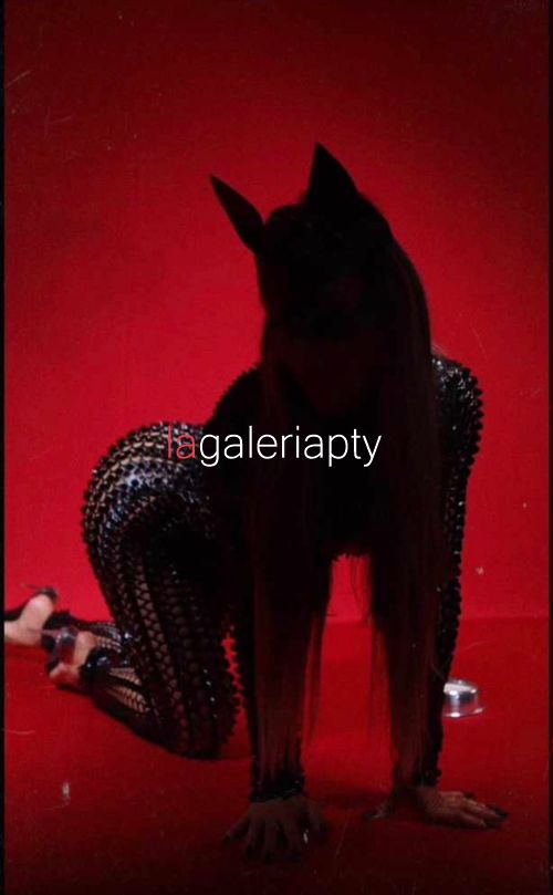 Fotografías de Angie 62064045, Escort en Panamá - 7607